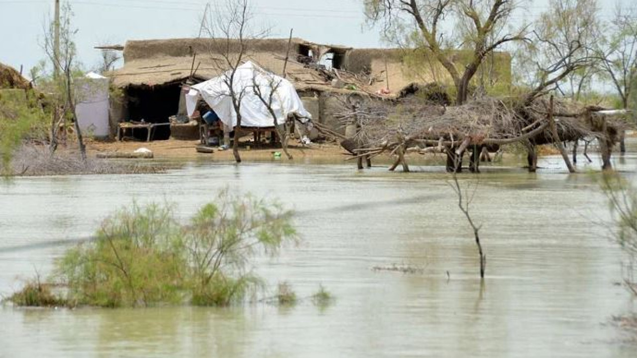 بلوچستان میں سیلاب سے جاں بحق افراد کی تعداد 336 تک پہنچ گئی :  پی ڈی ایم اے