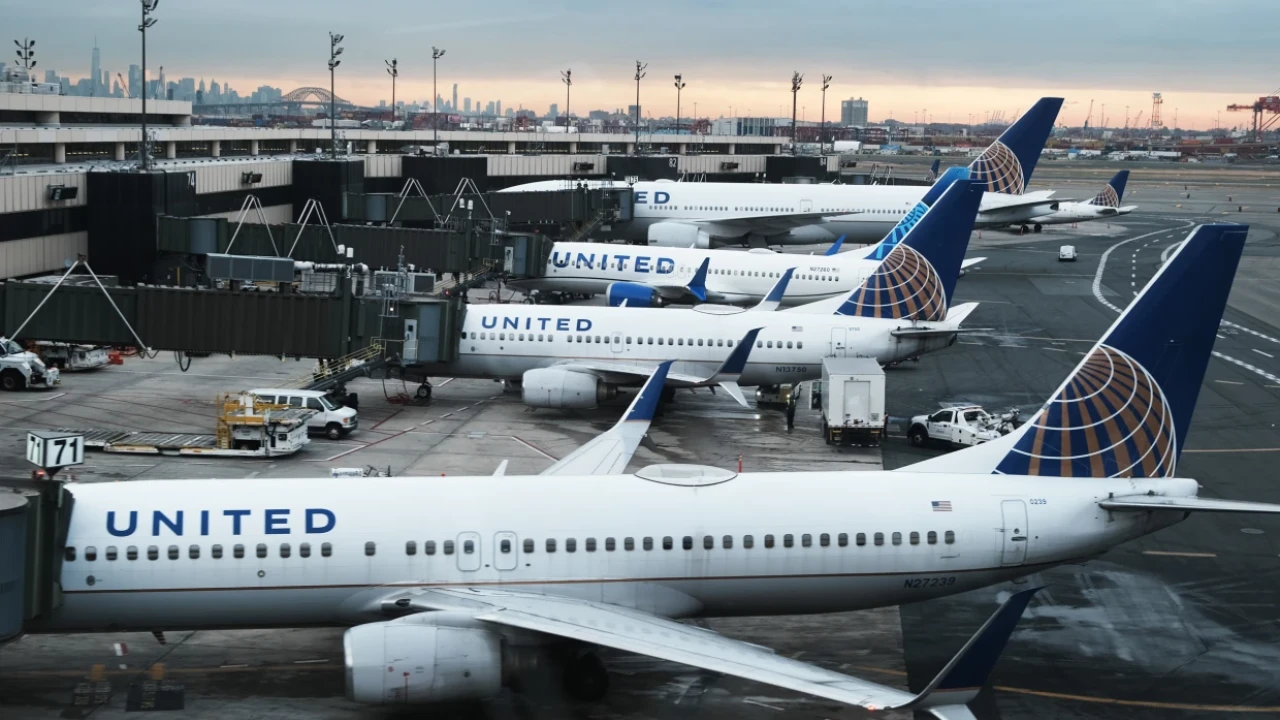 Snake slithers onto US flight; causes emotional turbulence