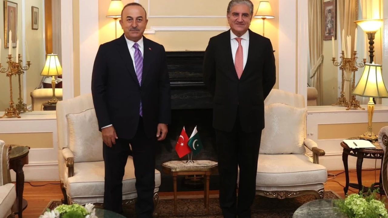 FM Pakistan Shah Mehmood meets his Turkish counterpart