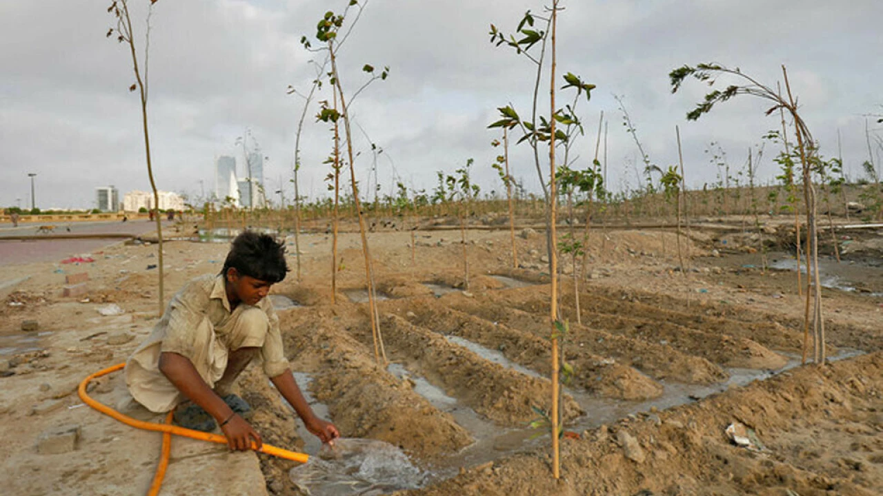 Pakistan will be among first to receive G7 'Global Shield' climate funding