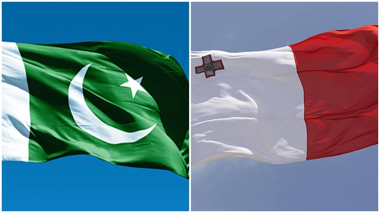 Pakistan, Malta agree to explore opportunities for cooperation in IT, health sectors