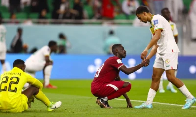 Qatar eliminated from World Cup after Netherlands and Ecuador draw