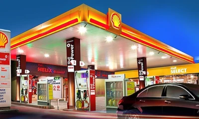 Shell to buy Danish firm Nature Energy