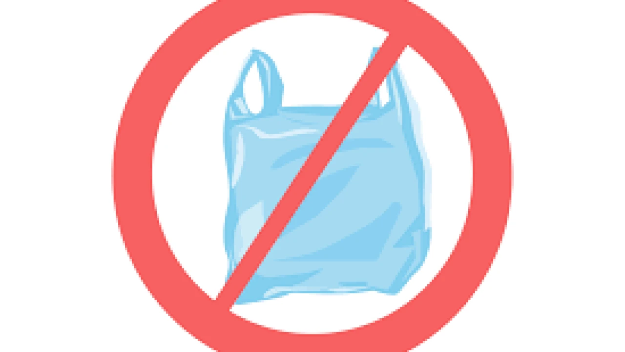 GB govt to ban use of plastic bags from January 2023
