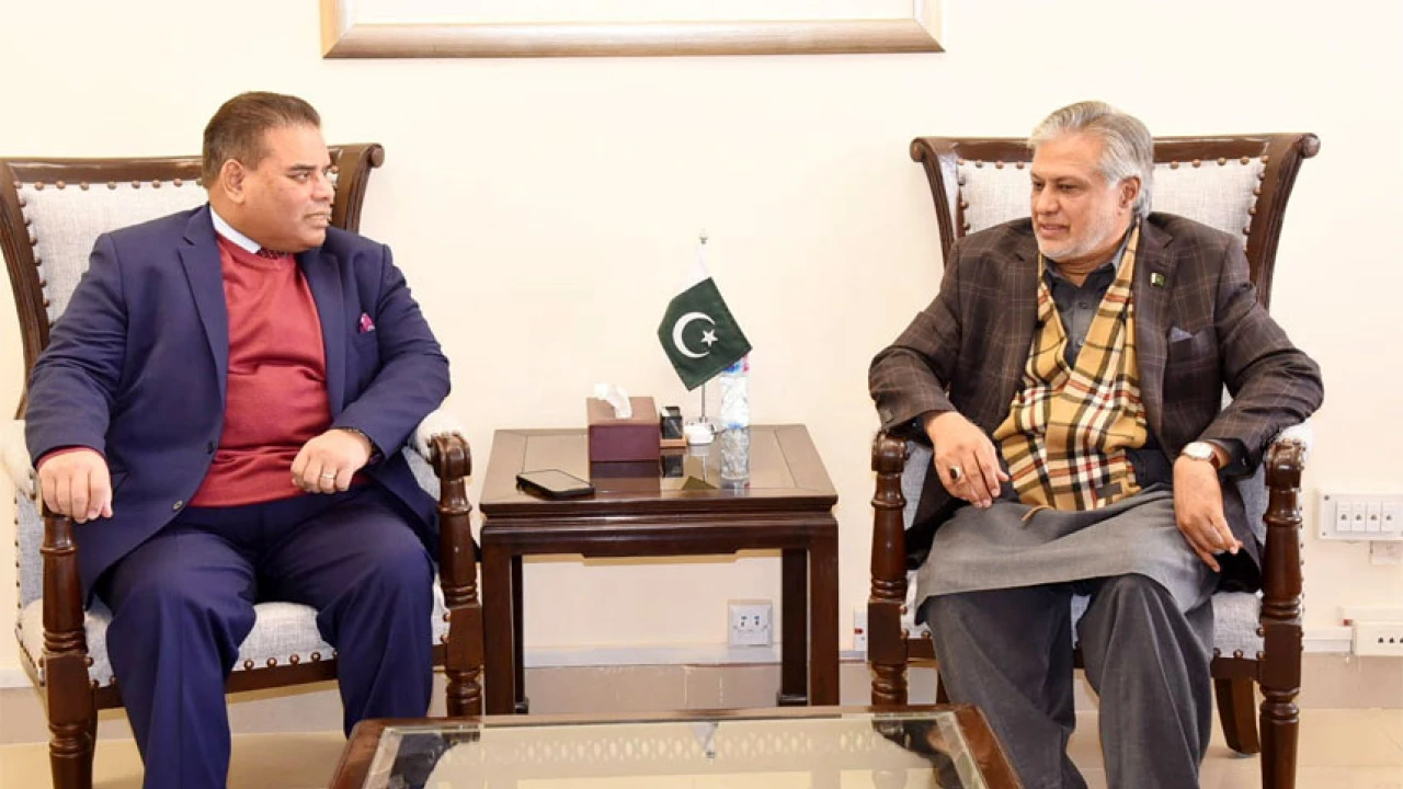UK MP calls on Finance Minister in Islamabad