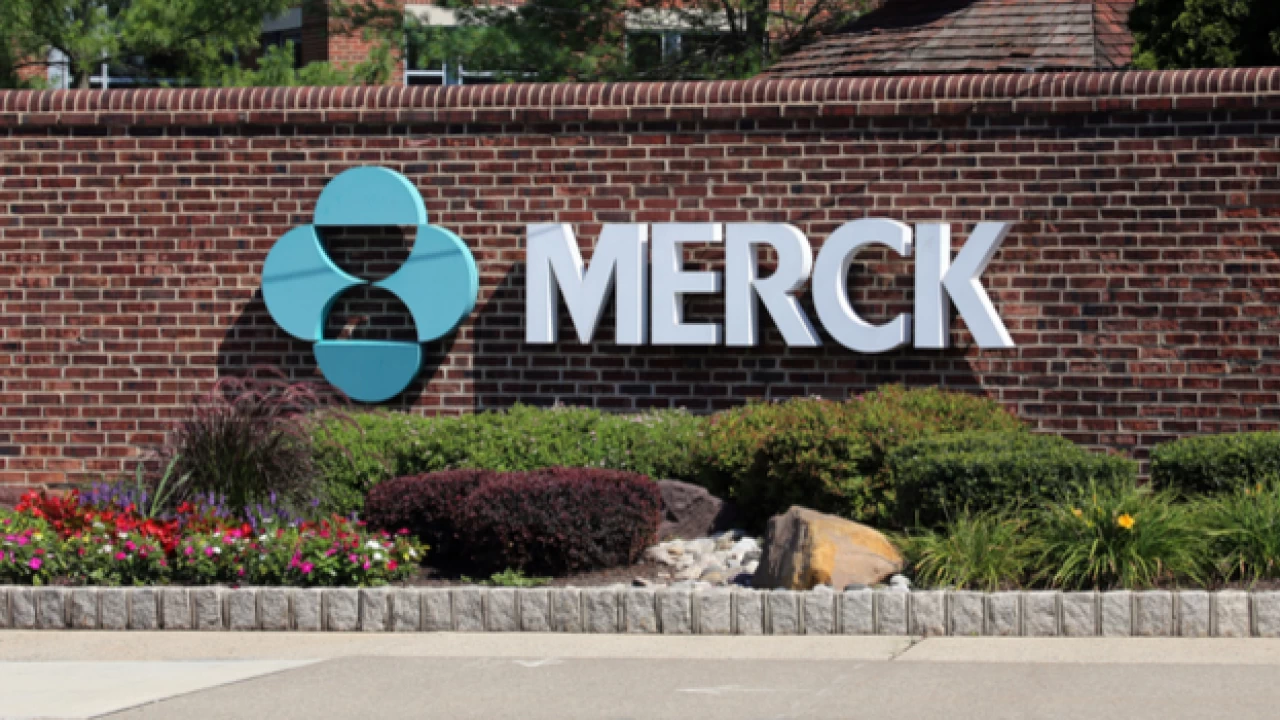 Renowned drug maker Merck mulls to buy Acceleron in $11.5 billion deal