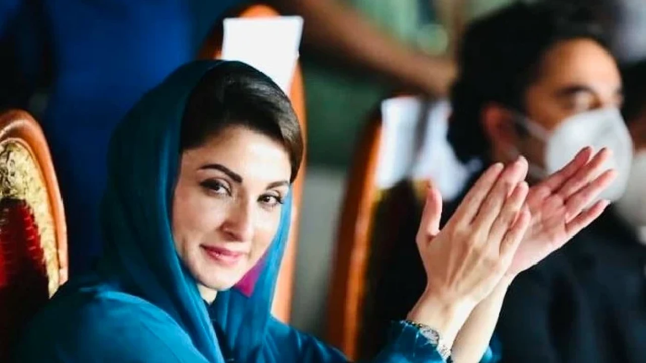 Maryam Nawaz appointed as PML-N's senior Vice President