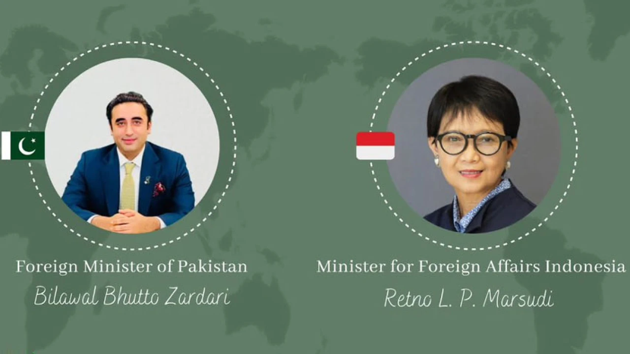 Pakistan, Indonesia FMs exchange views on bilateral ties