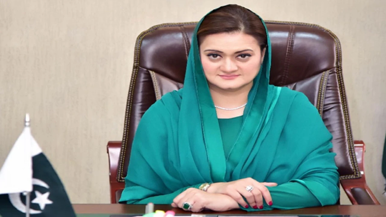 Govt takes practical steps to protect journalists’ rights: Marriyum