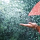 AI can predict if it will rain or not