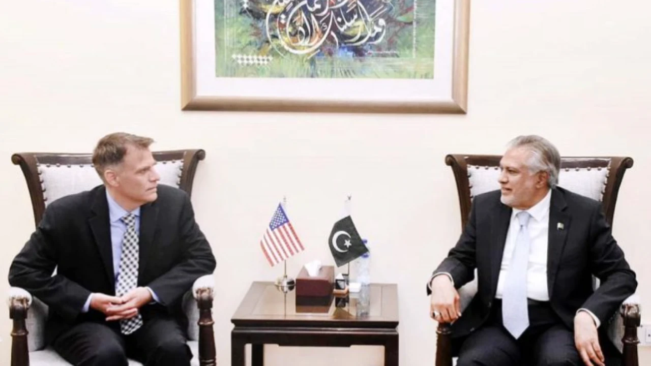 Ishaq Dar apprises US delegation on govt’s economic priorities
