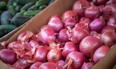 Onions become luxury in Philippines