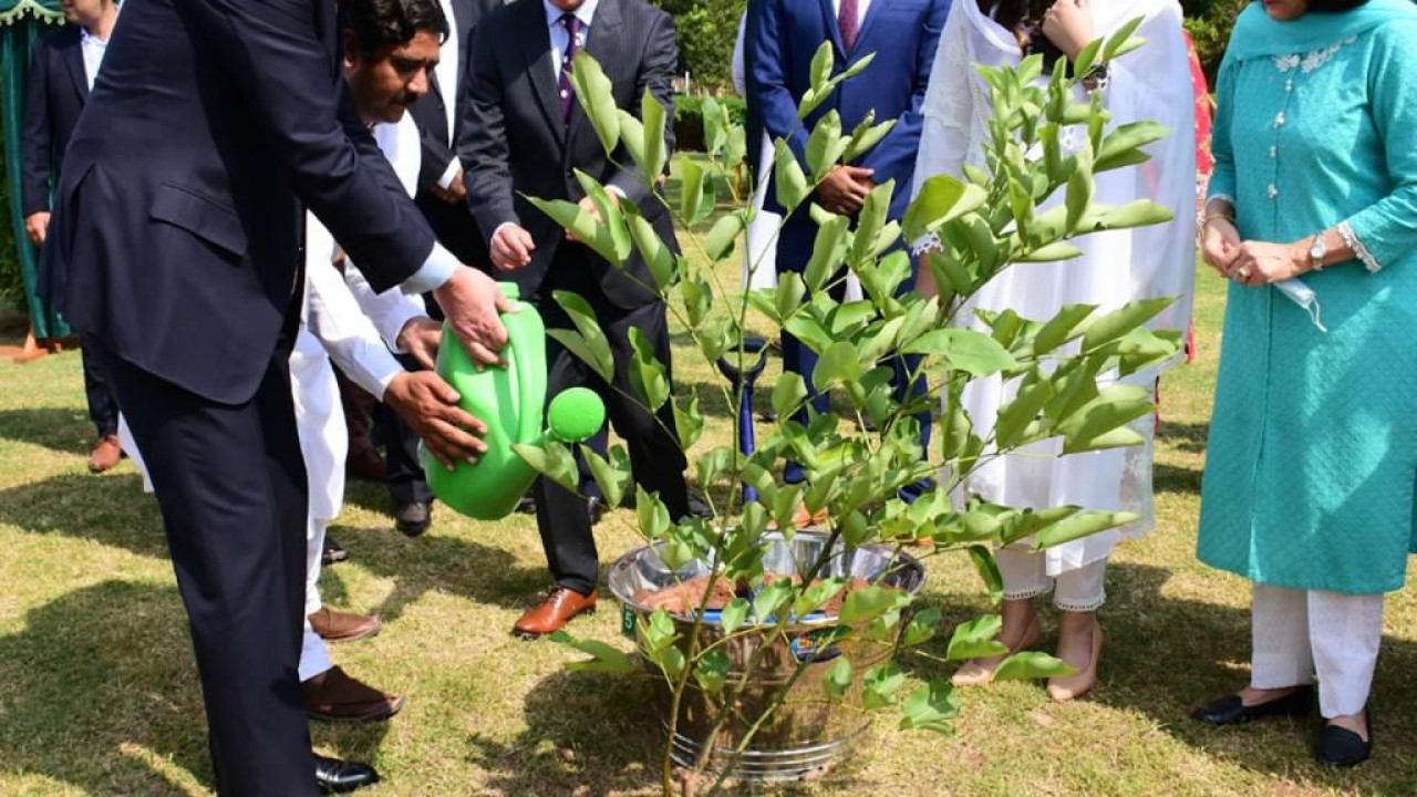 Pakistan, Argentina celebrate seven decades of Friendship