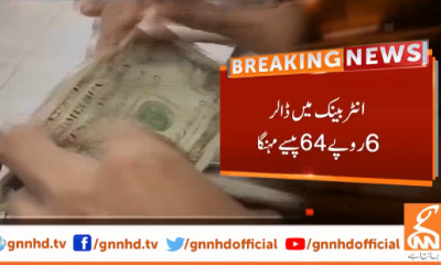 ڈالر مزید 6 روپے 65 پیسے مہنگا، 278 روپے کی بلند ترین سطح پر پہنچ گیا