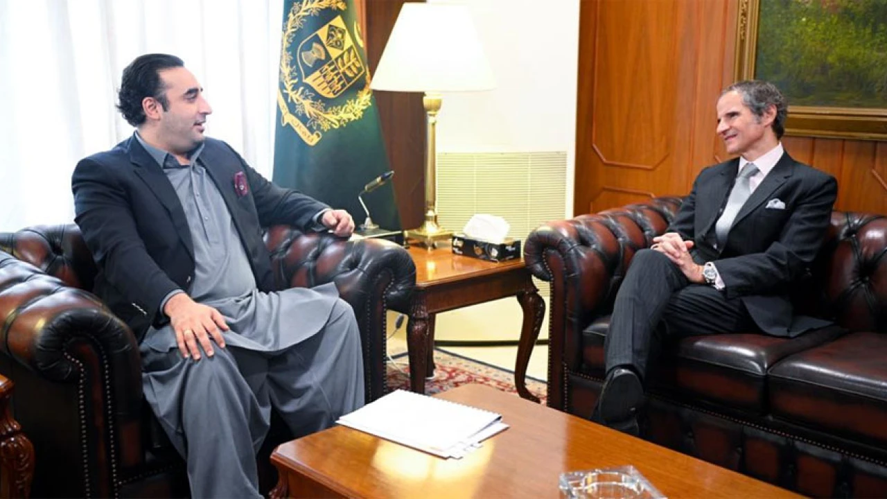 FM, Director General IAEA discuss matters of mutual interest