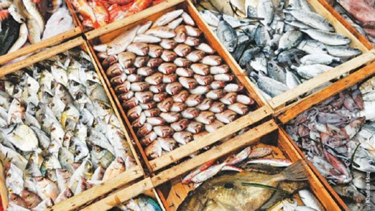 Pakistan’s seafood export to china increases by 42% in 2022