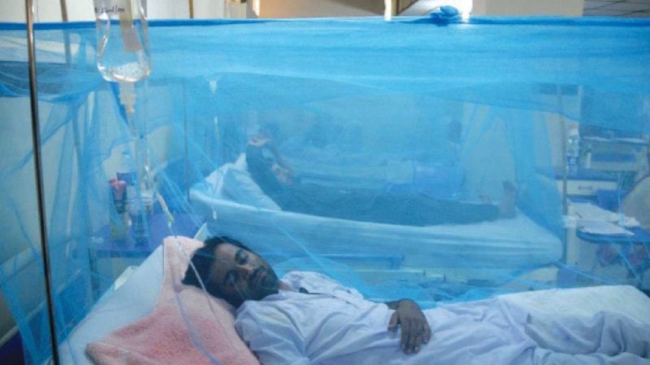 In Photo : Dengue