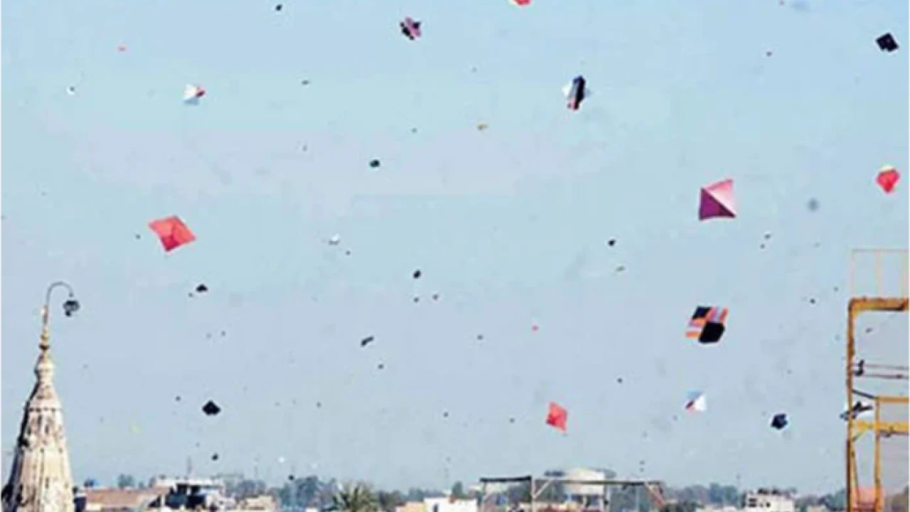 Punjab govt imposes one-month ban on kite flying 