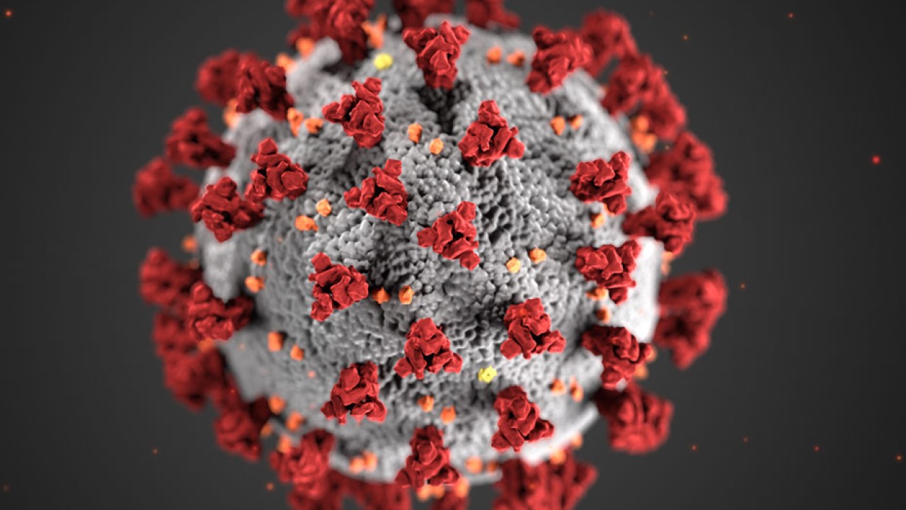 Coronavirus: Pakistan records lowest daily death toll of fourth wave