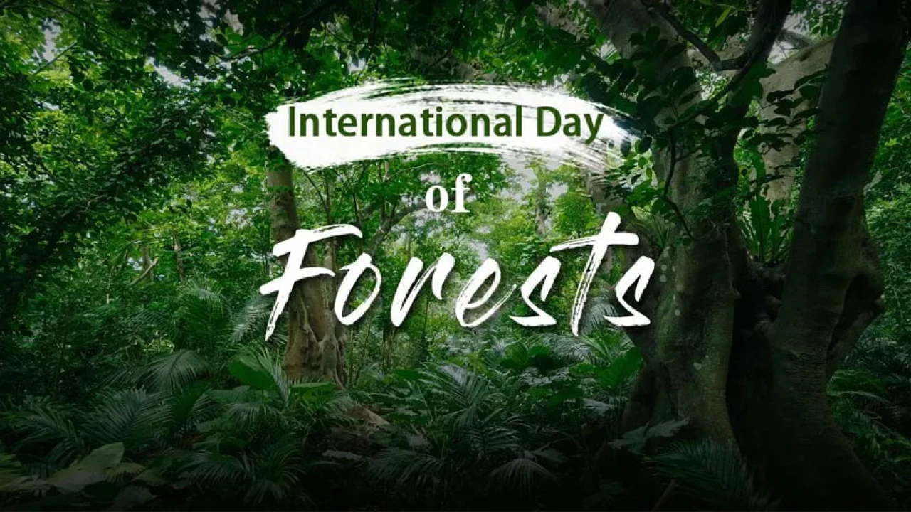Int’l Day of Forests being observed today