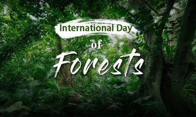 Int’l Day of Forests being observed today