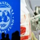 IMF rejects initial proposal of subsidy on petrol