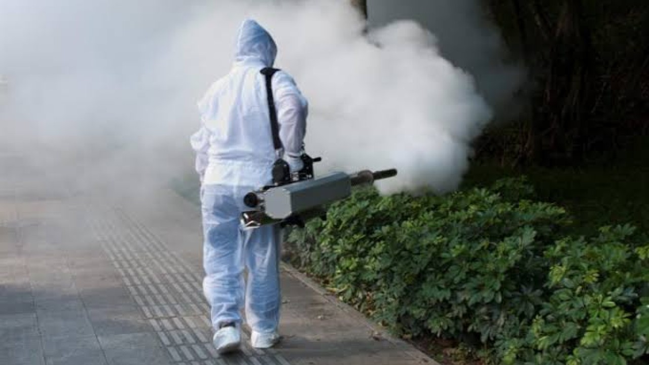 Punjab intensifies dengue prevention activities