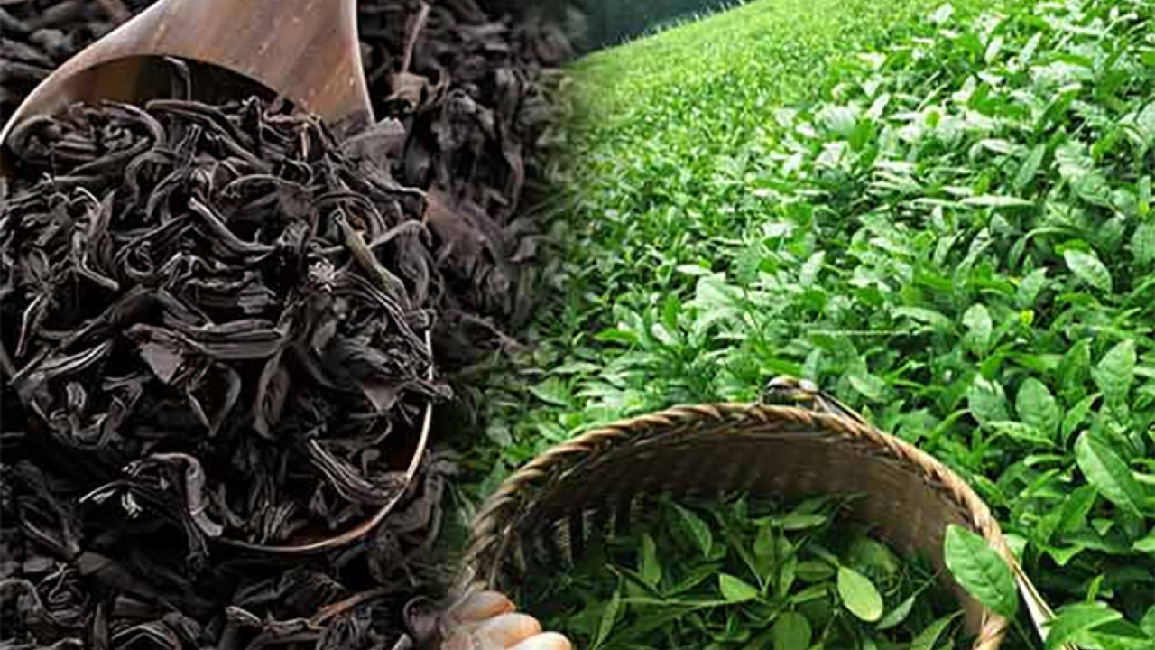 چائے کی درآمدات میں جاری مالی سال کے پہلے 8 ماہ میں سالانہ بنیادوں پر5.61 فیصد کمی