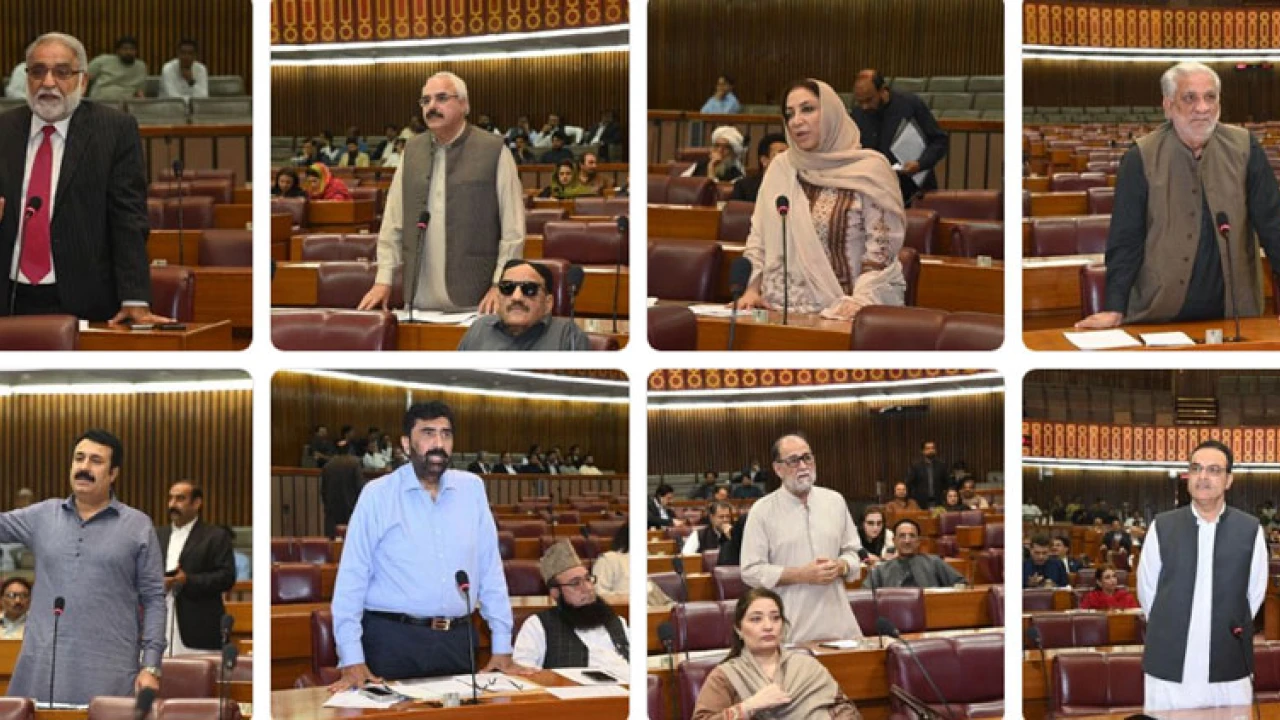 Lawmakers vow to support govt in bringing political, economic stability