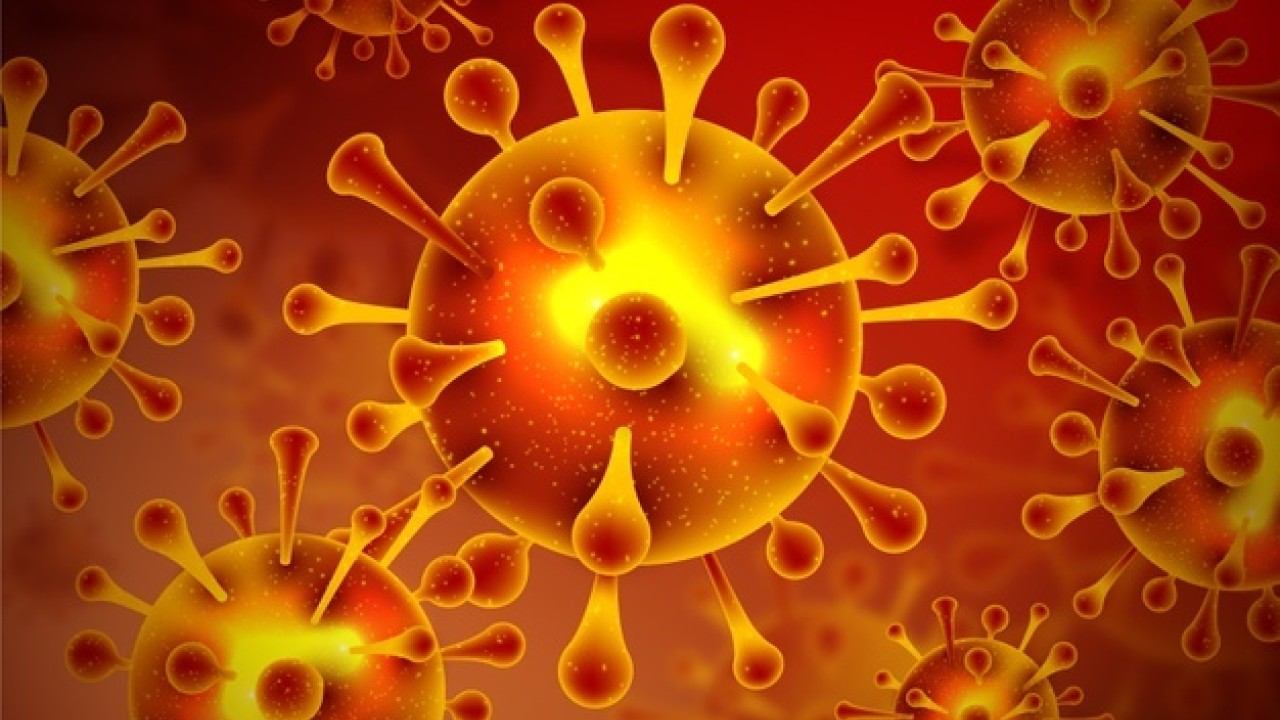 17 more succumb to COVID-19 in Pakistan, toll at 28,269
