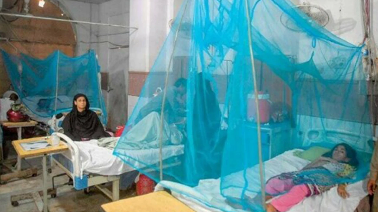 Extreme climate leads to malaria cases in Pakistan