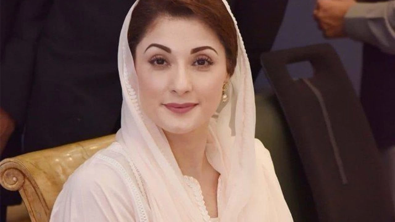 'One (PM) who feeds dogs high-quality meat should think thousand times before discussing Riyasat-e-Madinah': Maryam