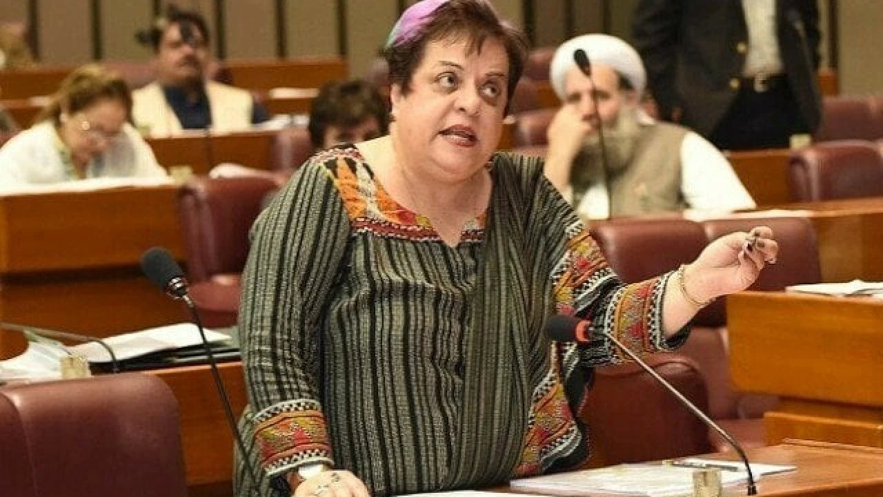 Islamabad session court discharges Shireen Mazari from "Attempted Murder" case