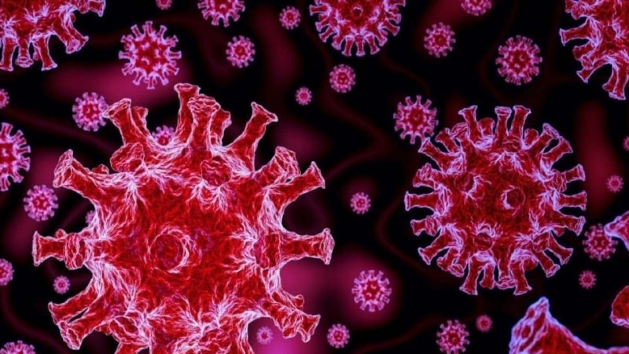 پاکستان میں کورونا وائرس کی ایک اور قسم کی موجودگی کا انکشاف