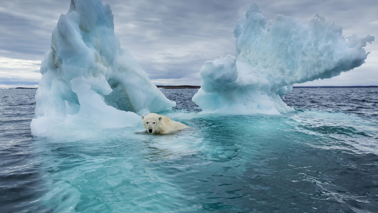 World on edge to exceed 1.5°C global warming, warns WMO