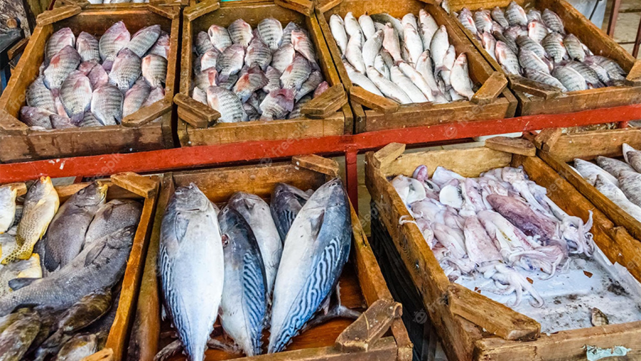 مچھلی اور مچھلی کے گوشت سے بنی مصنوعات کی برآمدات میں 10 ماہ کے دوران 16.22 فیصد اضافہ