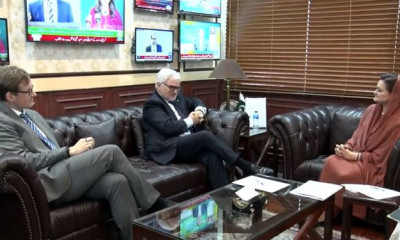 پاکستان اور جرمنی کا فلم، آرٹ اور ثقافت کے شعبوں میں دوطرفہ تعاون پر اتفاق