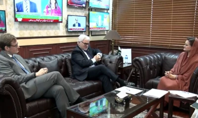 Pakistan, Germany vow to enhance cooperation in film, art and culture