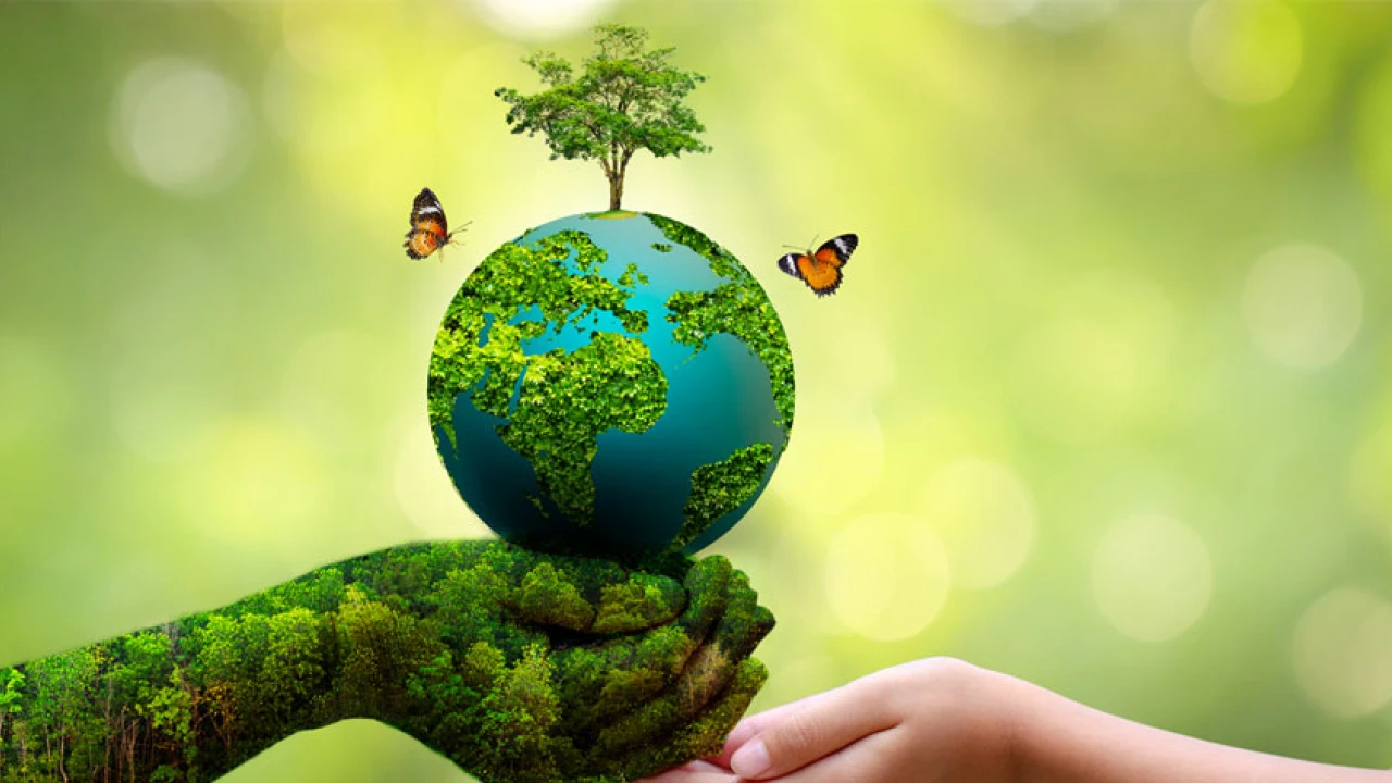 World Environment Day being observed