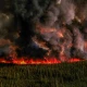 Canada prepares for destructive wildfire season