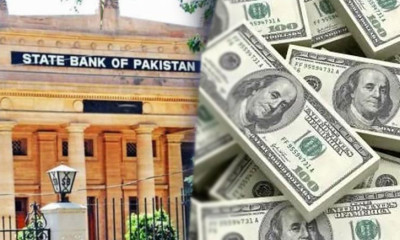 زرمبادلہ کے ذخائر 17 کروڑ 90 لاکھ ڈالرکم ہوگئے