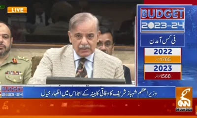 Political stability inevitable for economic growth, says PM Shehbaz