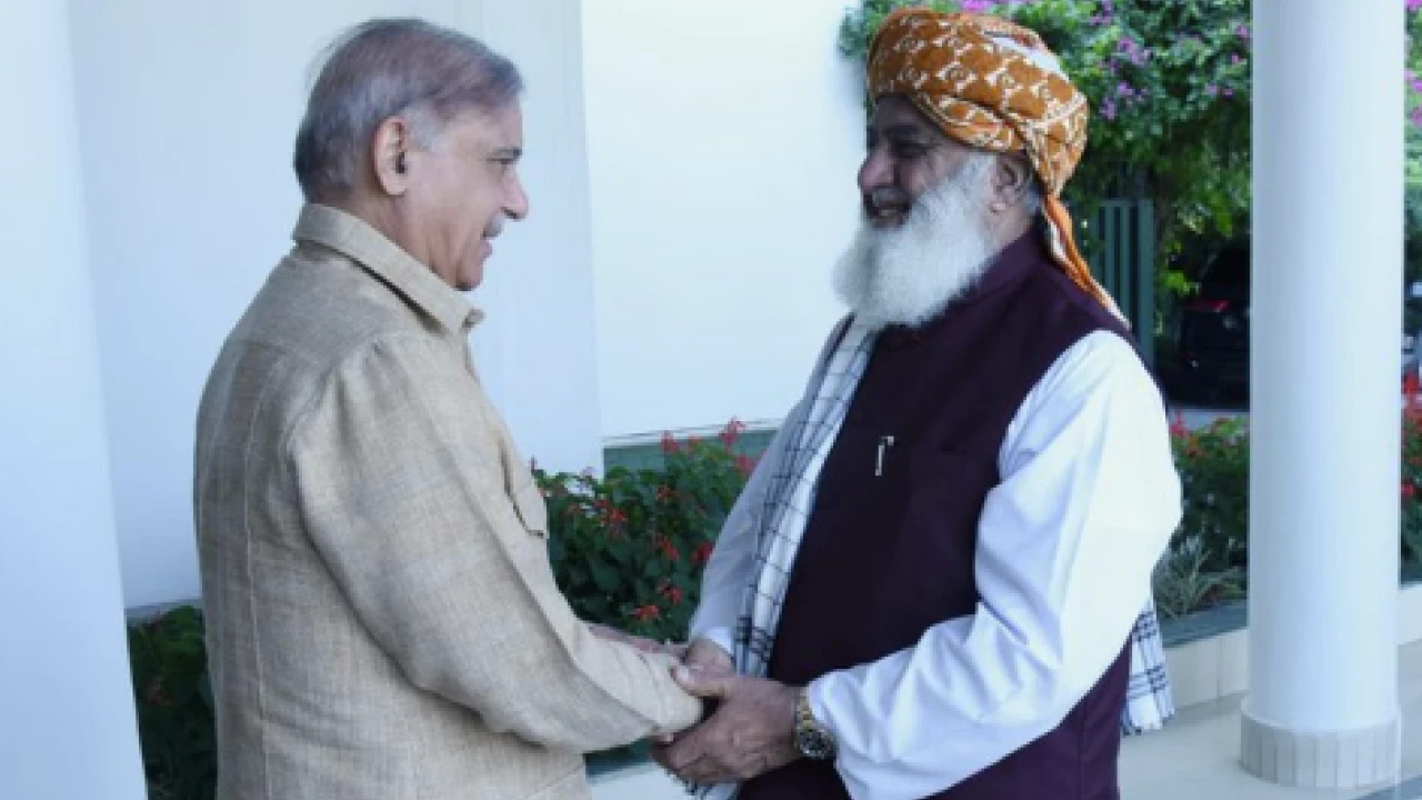 Shehbaz, Fazl discuss political situation