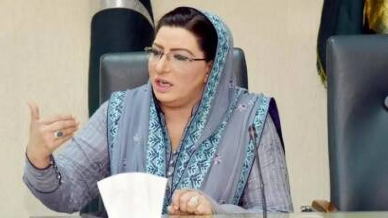 IPP rules out electoral alliance with PML-N, claims Firdous