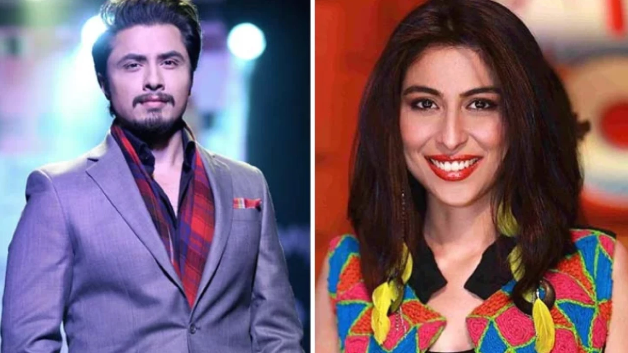 Meesha Shafi believes Ali Zafar is still successful