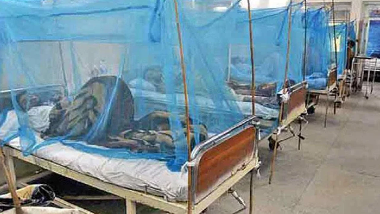 40 dengue cases registered in KP