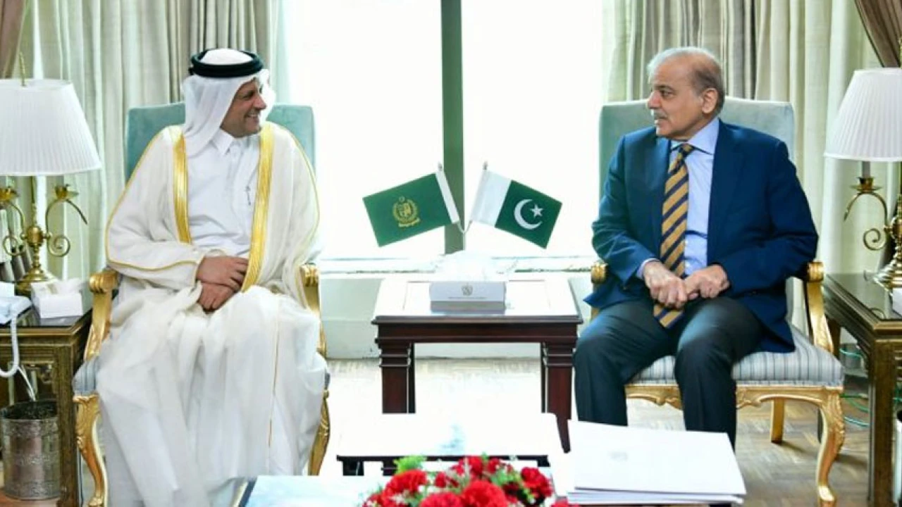 Pakistan, Qatar to continue broadening bilateral ties: PM