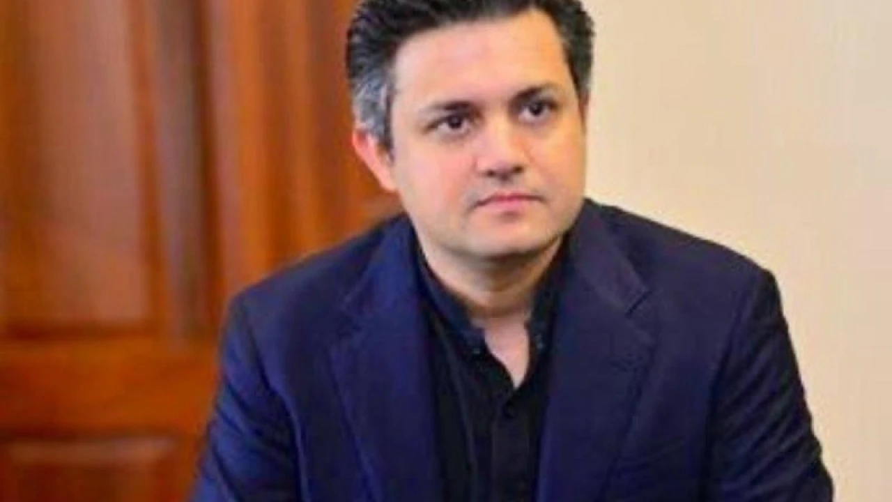 ‘We support the overall objectives,’: Hammad Azhar opens up about meeting with IMF