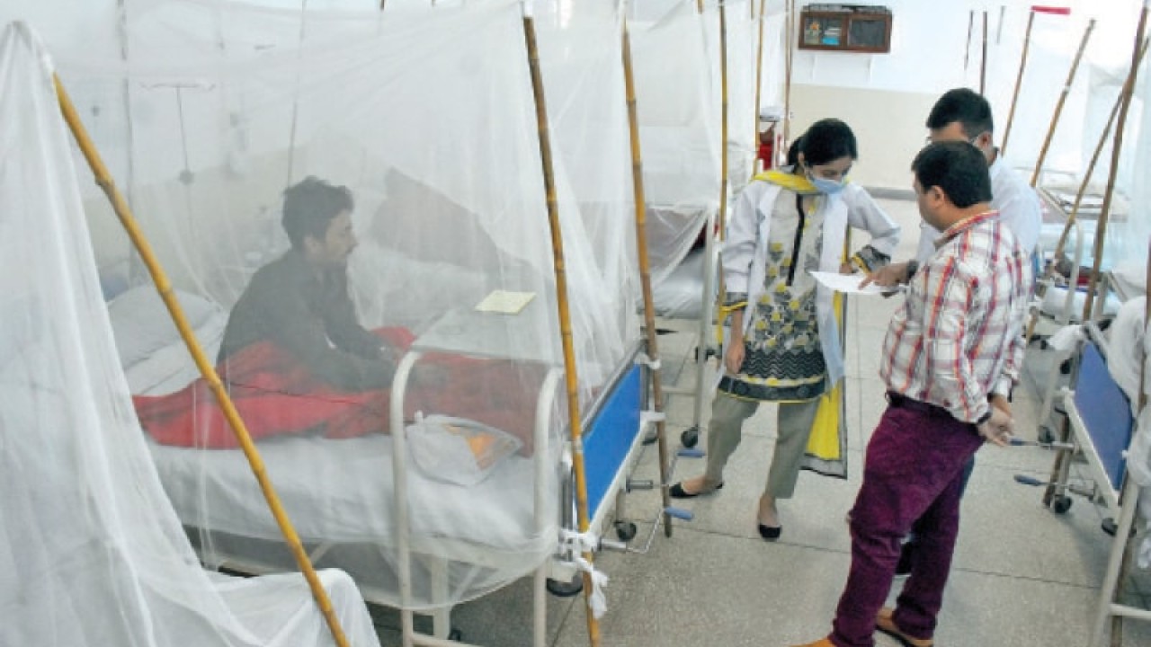 وفاقی دارالحکومت میں جان لیوا ڈینگی مچھر کے وار جاری