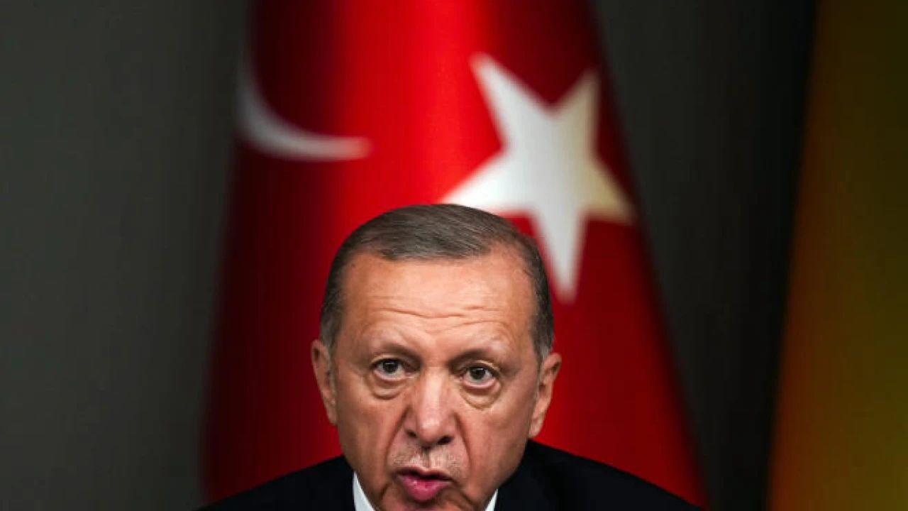 Erdogan links Sweden's NATO membership to Turkey's EU accession